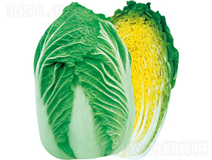 �����ɿ�-�ײ˷N��-�����N�I(y��)