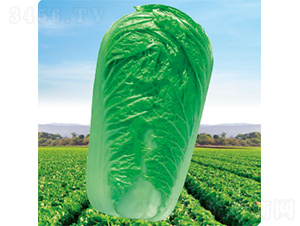 CR����2̖-�ײ˷N��-�����N�I(y��)