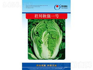 �����һ̖-�ײ˷N��-�����N�I(y��)