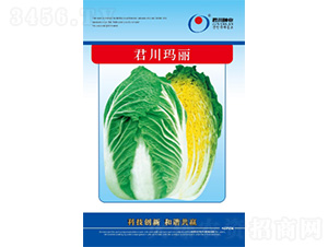 ��������-�ײ˷N��-�����N�I(y��)