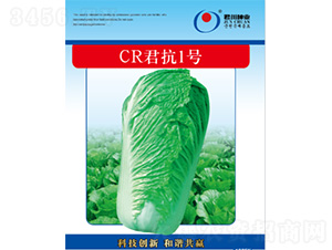 CR����1̖-�ײ˷N��-�����N�I(y��)