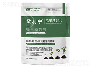 �ϲ�����Ƭ-������-��٤�z