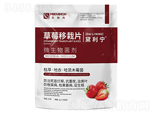 ��ݮ����Ƭ-������-��٤�z