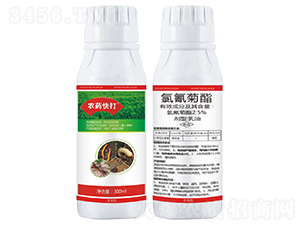 2.5%�����������-�r(n��ng)ˎ���-����