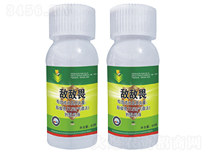 77.5%����η����-����