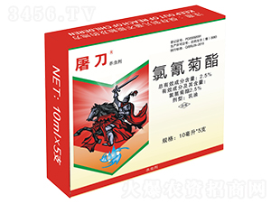 2.5%�����������-����