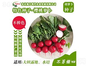 �����}��-���}���N��-���S�r(n��ng)�I(y��)