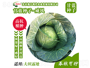 ���L166-���{�N��-���S�r�I(y��)