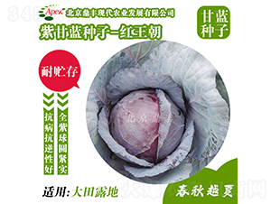 �t����-���{�N��-���S�r�I(y��)