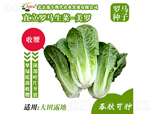 ���_-���˷N��-���S�r(n��ng)�I(y��)