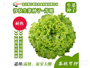 ����-���˷N��-���S�r(n��ng)�I(y��)