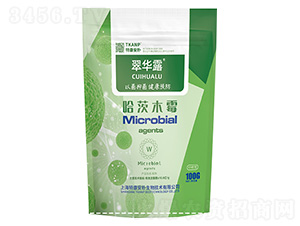 ���A¶������ľù-�ؿ�����