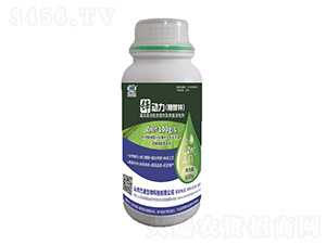 �\��(d��ng)�����Ǵ��\��-��������