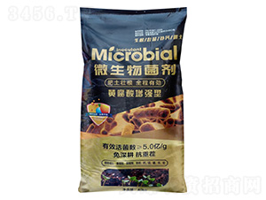 �S�����������΢�������-�Z�鱾�r(n��ng)�I(y��)