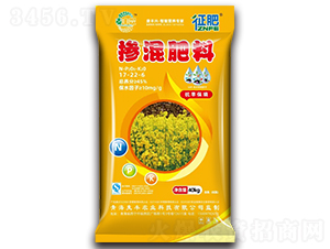 �������17-22-6-����-���S�d