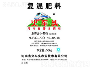 ���݌��Ï�(f��)�����10-12-18-��܇�^