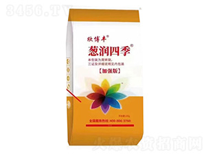 �[���ļ�-�����S-�����S