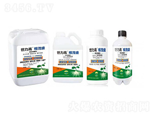 ΢�������-��ïʢ-����������