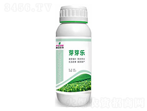 ѿѿ��-�W������