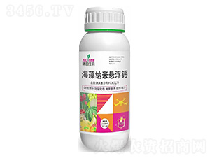 ����{�בҸ��}-�W������