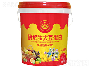 ø���Ĵ󶹵��ף������ͺ�΢���-�V˼Դ