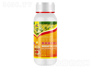 ���������S��΢�������-������