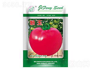 ����-���ѷN��-���S�N�I(y��)