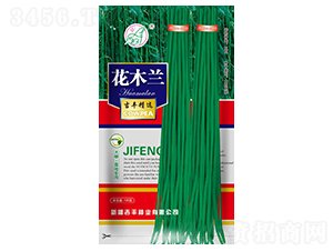 ��ľ�m����-�����N��-���S�N�I(y��)