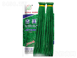 ��������-�����N��-���S�N�I(y��)