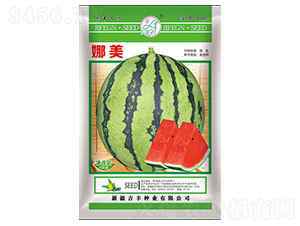 ����-���ϷN��-���S�N�I(y��)