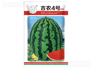 ���r(n��ng)4̖(h��o)-���ϷN��-���S�N�I(y��)