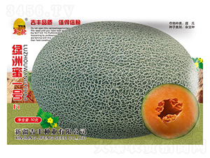 �G����һ̖(h��o)-��ϷN��-���S�N�I(y��)