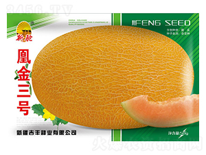 �˽���̖-��ϷN��-���S�N�I(y��)