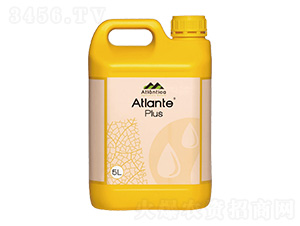 AtlantePlus-���F���r�I(y��)