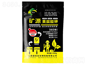 �VԴ�S����⛣��Ϲ�����-��������