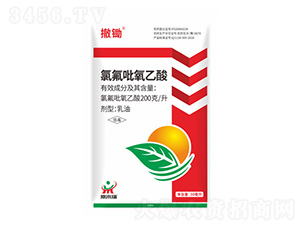 �ȷ��������ᮐ����-���z-������