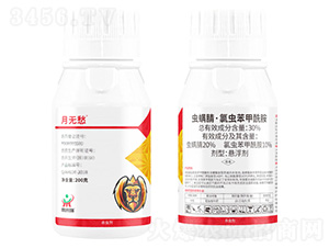 30%�x���桤���x��������-�o��-������