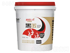 �ڽ�-ֲɫ����