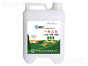 һ����Ч-��������ˮ�ܷ���-ֲɫ����