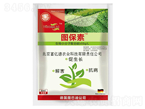 ���������T�����-�D����-���|��