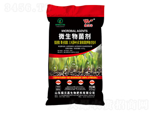 ���ּ�΢�������-�����r(n��ng)�Y