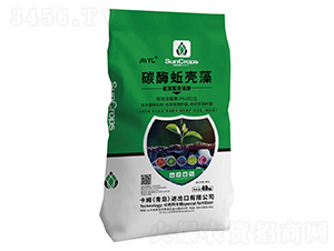 ̼ø�ǚ���-΢�������-�Ѓ|-��ķ