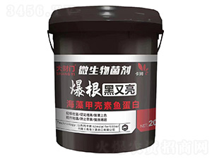 ����������΢�������-��ؔ�T-��ķ