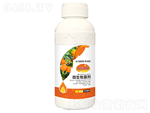 �������t(y��)΢�������-�W����