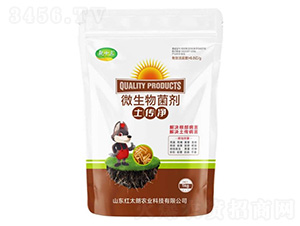 ������΢�������-Ǭʮ��-�t̫���r(n��ng)�I(y��)