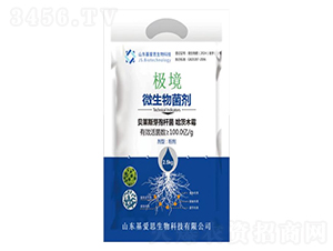 �O��΢�������-����(��i)˼