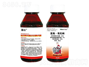 48%�ȷ���������-����-�f��