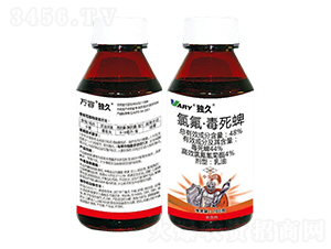 48%�ȷ���������-����-�f��