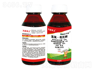 48%�ȷ���������-�f�ݺ���-�f��