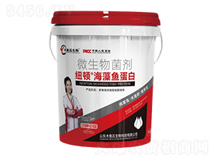 �����~(y��)����-�~�D-ľ�~(y��)ʯ